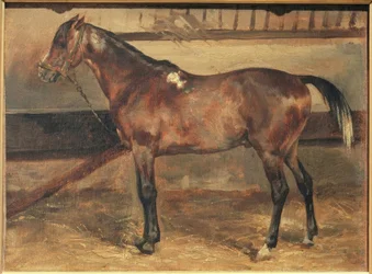 Brown Horse in the Stable